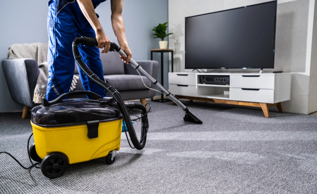 Extract Upholstery Cleaning Point Leo Contact Office